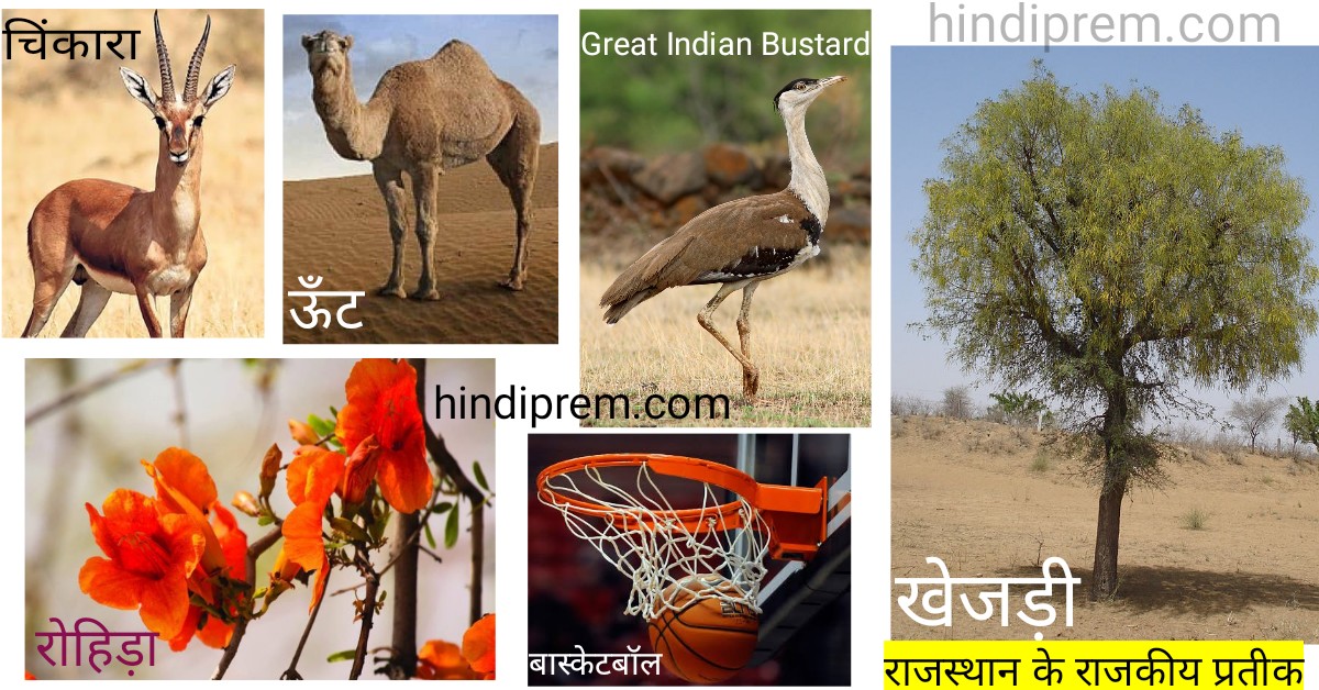 राजस्थान के राजकीय प्रतीक - राजकीय पशु, पक्षी, वृक्ष इत्यादि