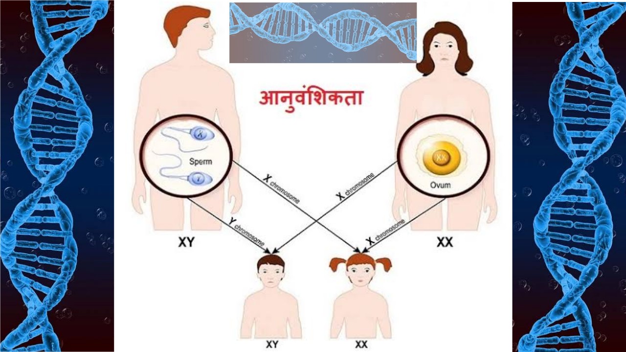जीव विज्ञान आनुवांशिकी