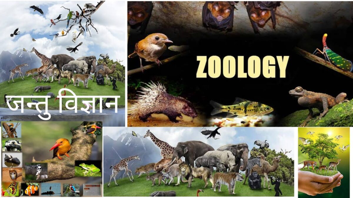 जन्तु विज्ञान | Zoology